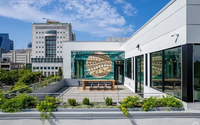 Capitol Property - Austin student accommodation - Terrace