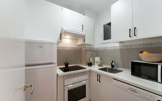 Haneo - 1 bedrooms and balcony in Castilla 2