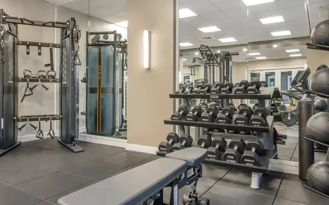 Kanso Silver Spring 4