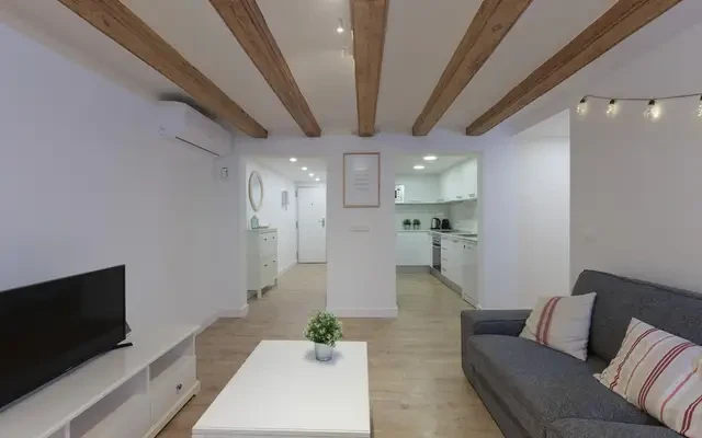 apartment in El Raval 2