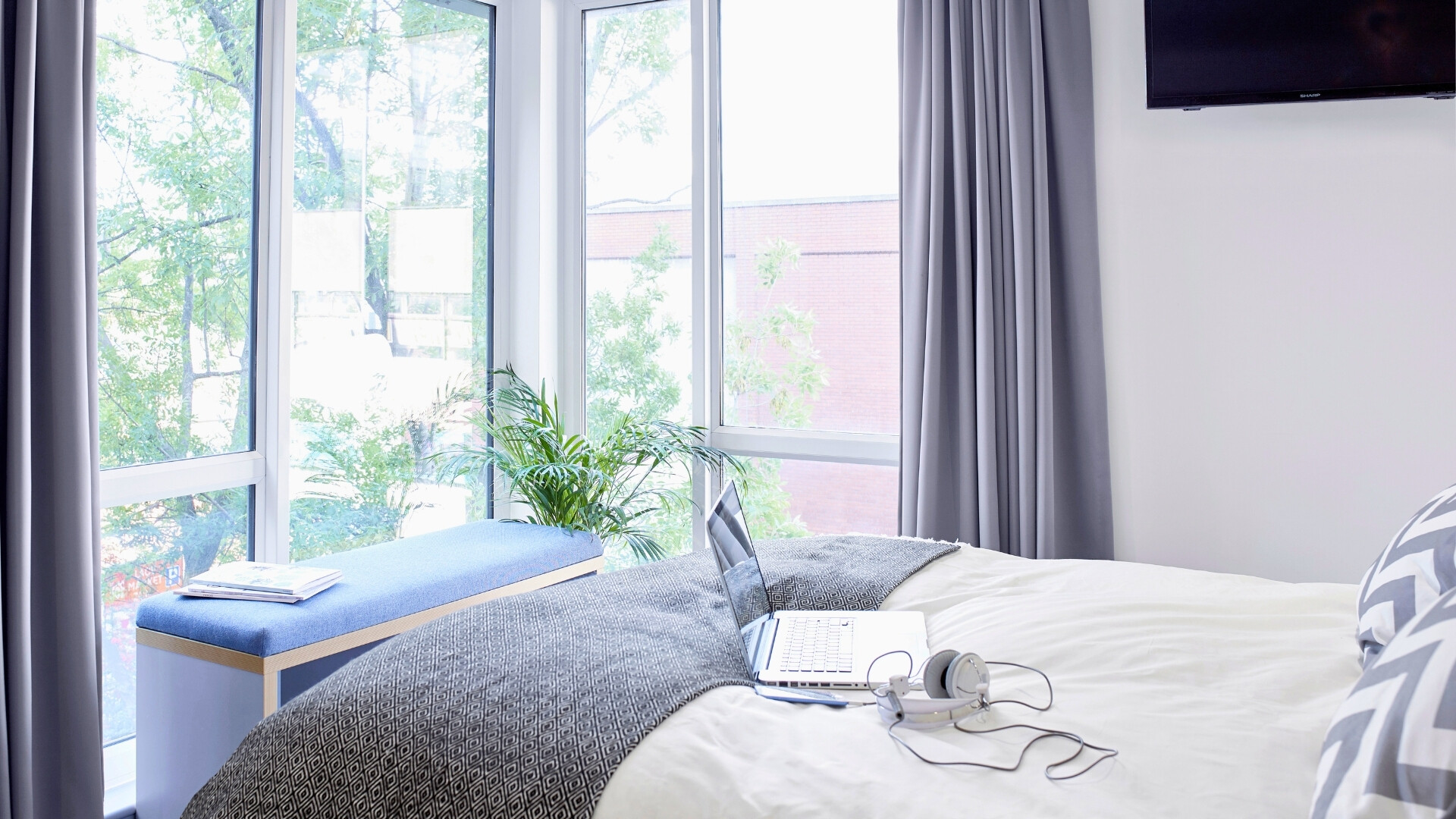 Gold Studio Standard