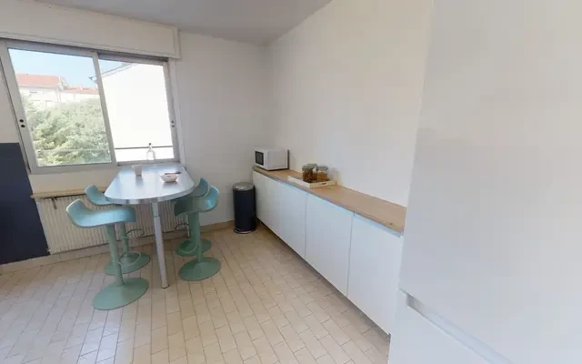 13 Rue Salomon Reinach, 69007 3