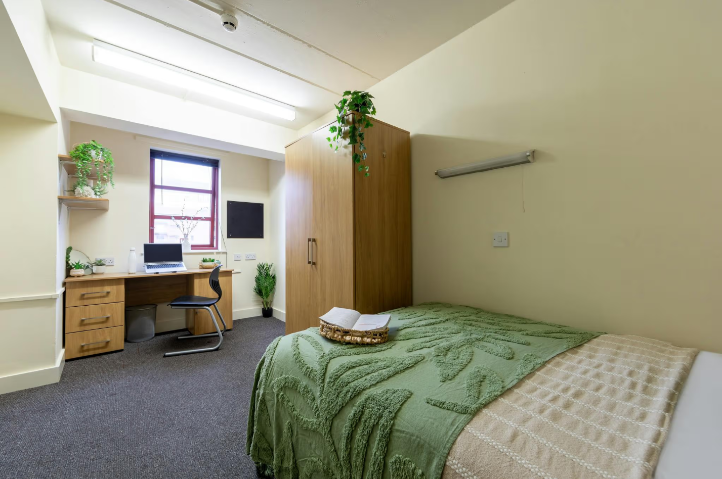 Bronze Non Ensuite - Large