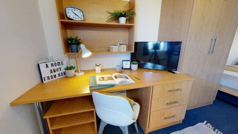 Bronze Studio Premium