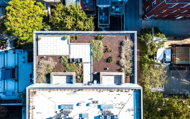 1111 Light Street Apartments 4