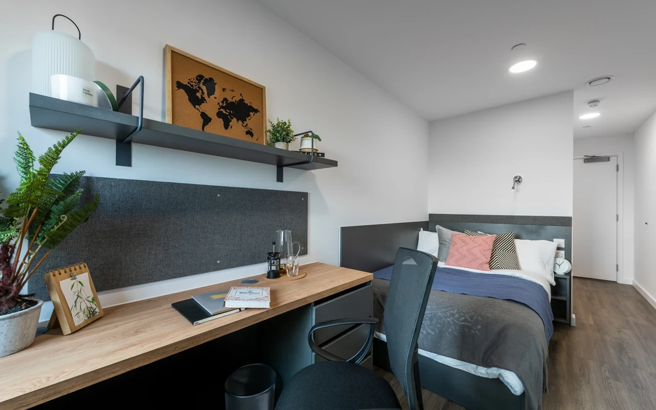 The Valentine Gants Hill London Student uhomes