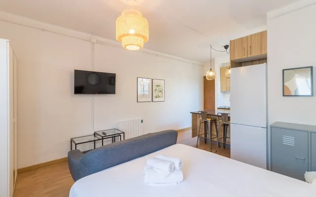 Cosy one bedroom flat in SAnt Andreu, very nice area, just 10 min from city centre 0