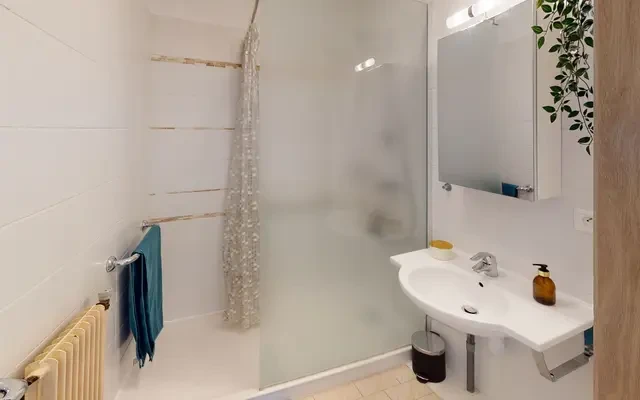 13 Rue Salomon Reinach, 69007 4