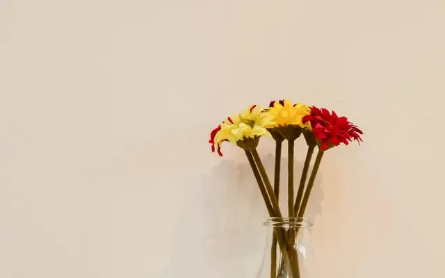 apartment in Penedo da Saudade - 코임브라 학생 숙소