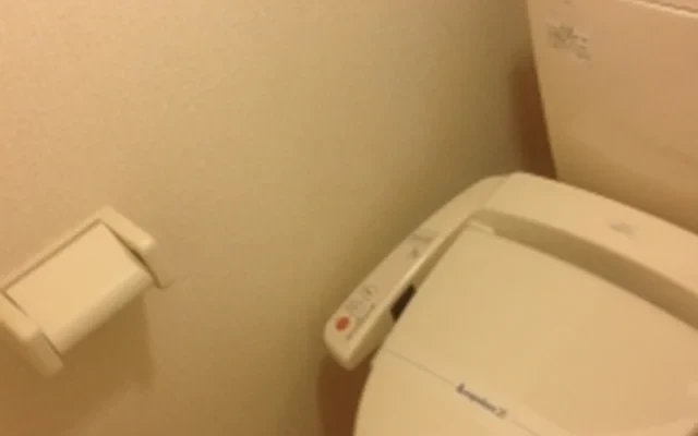 レオパレス南１０条 203号室 2