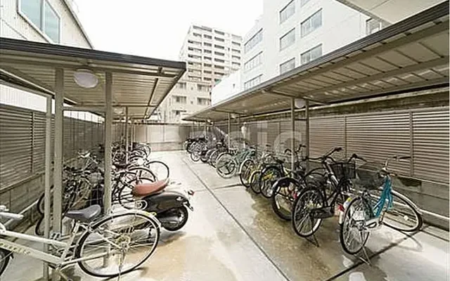 The Four Seasons of Kyoto 4