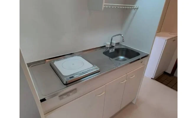 Domire Sakuragawa II 609 3