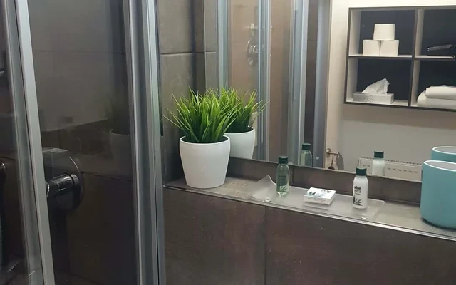 Penthouse Apartment 4