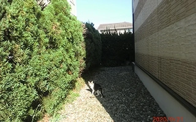 レオパレス春日 3