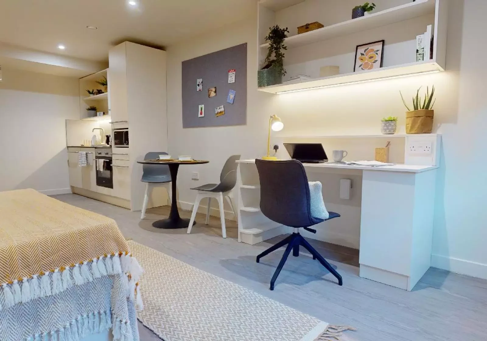 Platinum Studio Plus