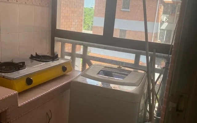 Evergreen Acorn & Hazel 4