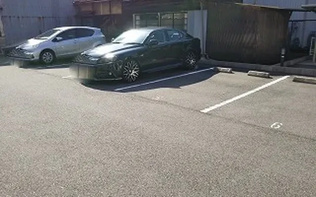 レオネクストブルースカイ 1