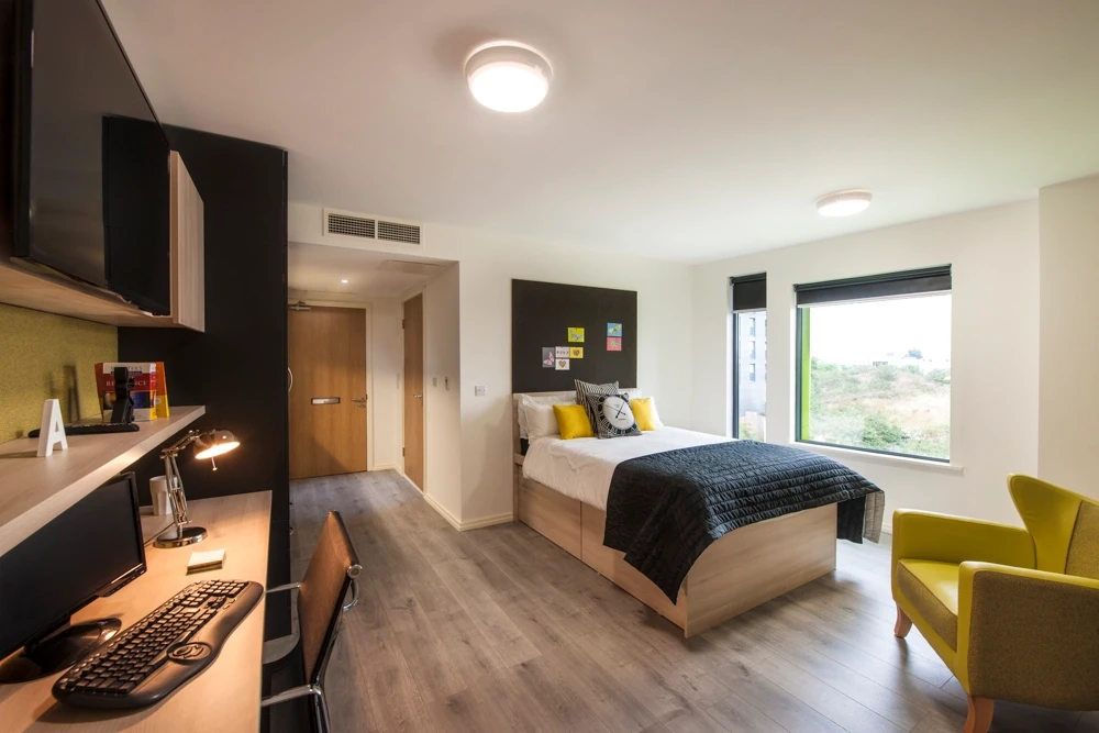 DDA Platinum Studio