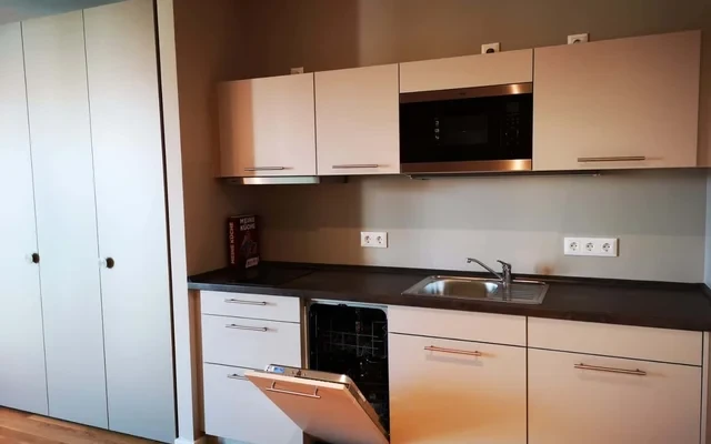 Fully-furnished studio apartment in Koepenick 3