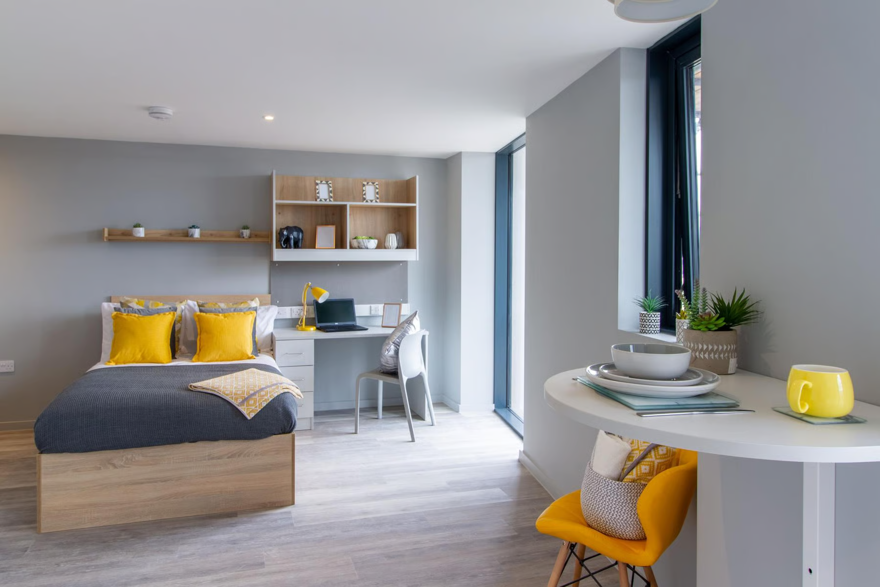 uhomes.com | Alojamiento de estudiantes, Vivienda, Pisos, Apartamentos en Alquiler