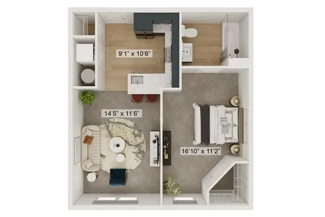 1 Bed 1 Bath Wildcat