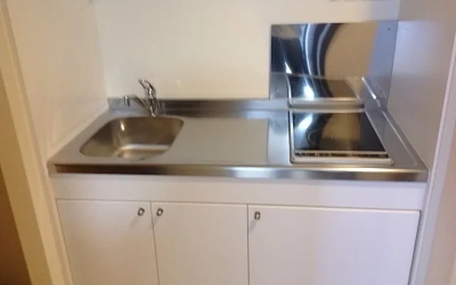 レオネクストカワセミ 4