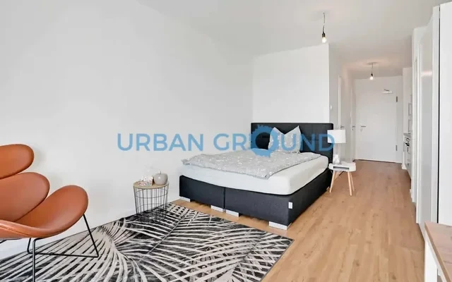 Furnished 1 room studio with elevator and balcony 0