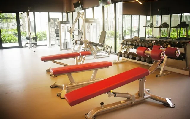 Meridin executive suite (Sovo) - Johor Bahru student accommodation - Gym