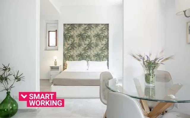 Euphorbia Apartment 2