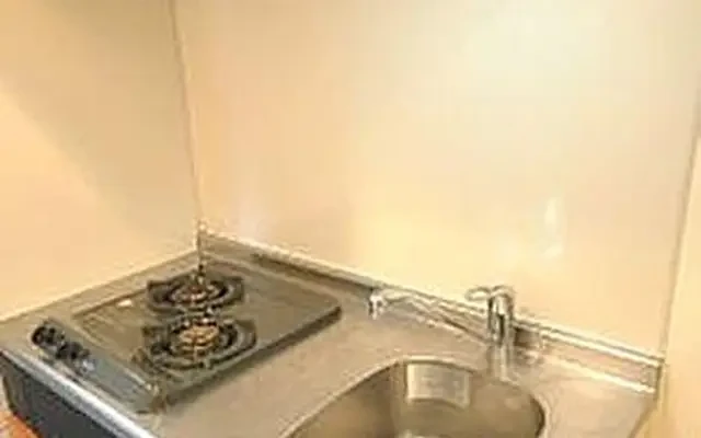 Dolce Bunkyo Koishikawa 402 2