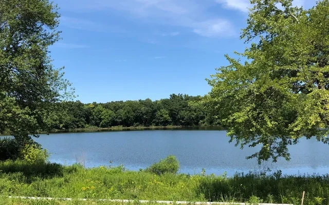 Preserve at Great Pond-Interim 2