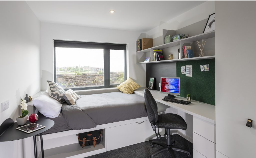 Shared Apartment Classic Plus