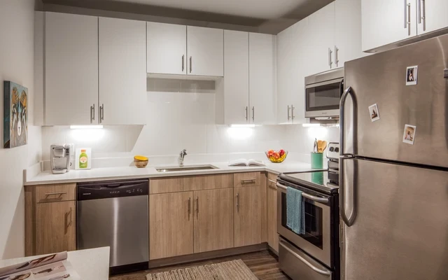 Luxury Housing - Uncommon Fort Collins 2
