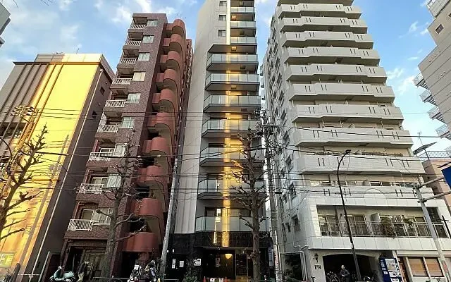 Isle Premium Honkomagome 0