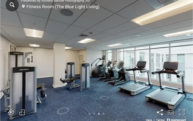 The bluelight living 4
