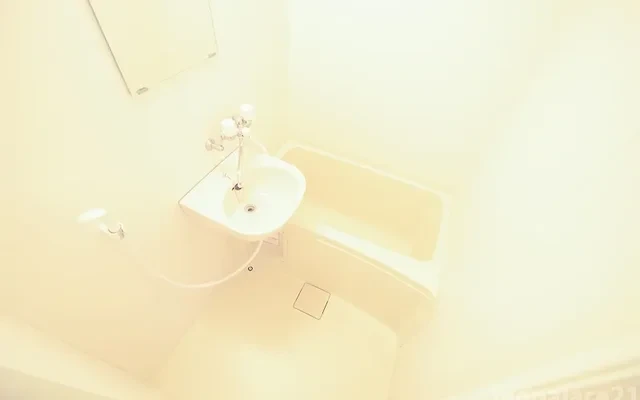 レオパレスＩＮＯＷ 2