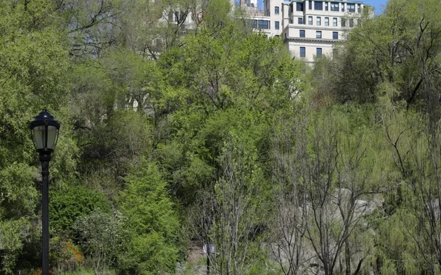 30 Morningside Drive 3