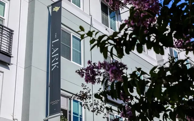 The Lark San Mateo 3