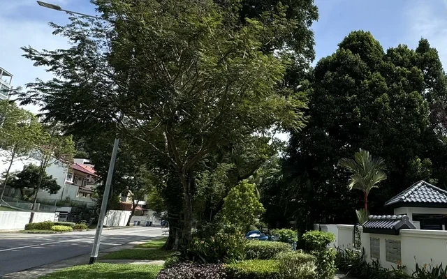 Singroost Barossa (PP249) - alloggio per studenti a Singapore