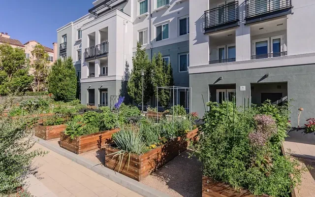The Lark San Mateo 2