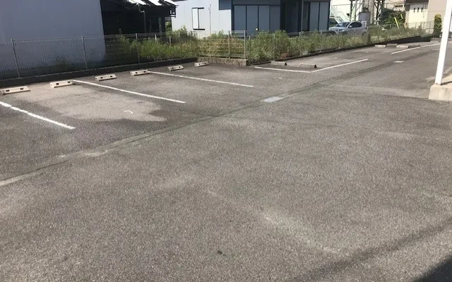 レオネクストリバー 1