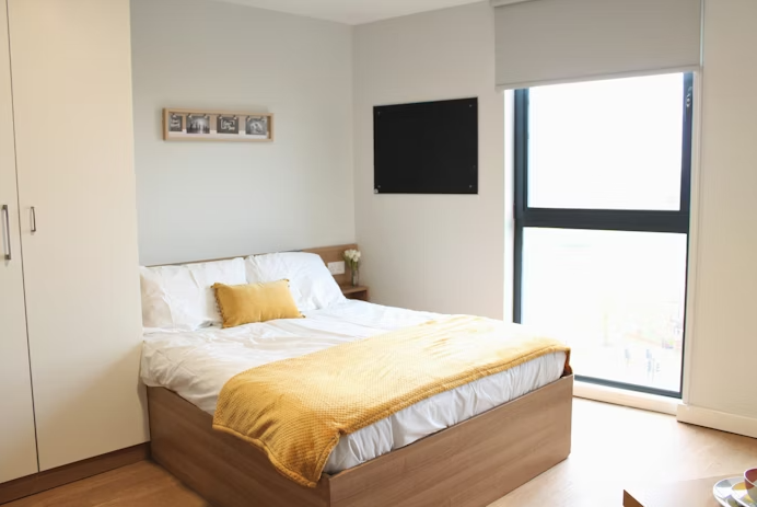 Tower Studio Gold Plus