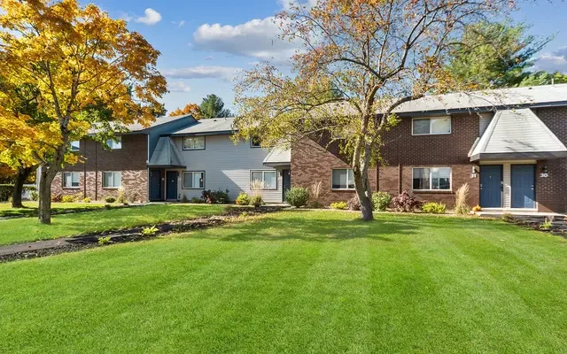 The Social Amherst 2