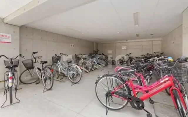 Illustration by S. Tsujio 4