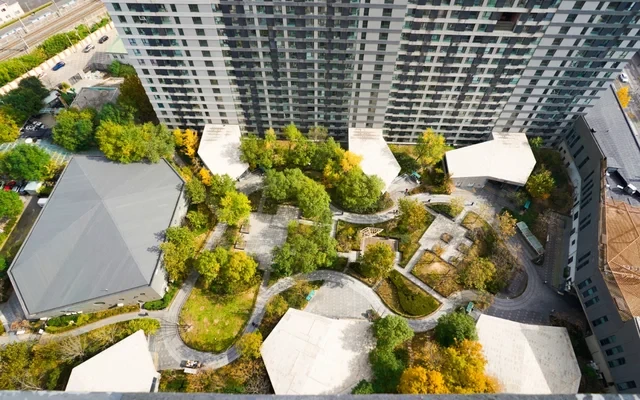 Super Hive International Youth Community 1