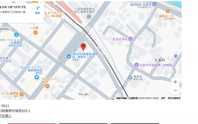Grand Avenue (Kanagawa Prefecture) 1