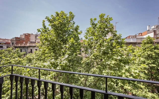 Villarroel 442 2