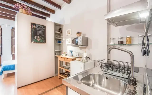studio in Sant Pere, Santa Caterina i la Ribiera (Ciutat Vella) 0