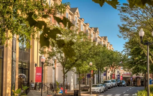 Avalon Clarendon-Interim 2