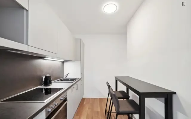 apartment near Waagner-Biro Straße 128-130 - ที่พักนักศึกษาในกราซ